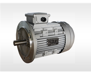 YE3系列鋁殼電動機